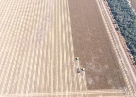 Cosecha en lotes húmedos: la compactación silenciosa que puede afectar los rindes durante años