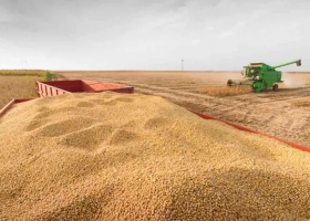 La cosecha de soja 2025/26 alcanza el 91,7% y registra el segundo mejor rinde de la historia