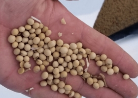 Se siguen negociando en el mercado argentino precios superiores a los de la capacidad teórica de pago de la industria