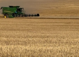 El agro impulsa el PIB: la economía creció 2,3% en el primer trimestre