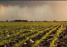 La siembra de fina avanza con demoras y la cosecha de soja muestra fuerte heterogeneidad regional