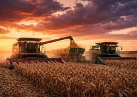 La cosecha de maíz avanza sobre el 51,2% del área y se mantiene la proyección de 64 millones de toneladas