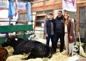 Debutaron hace dos años y ya conquistan Palermo con su genética bovina