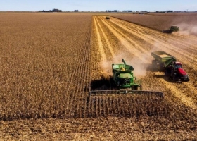 La cosecha de maíz avanzó al 69,8% y se mantiene la proyección de 64 millones de toneladas