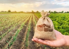 La economía se mantuvo por encima del nivel de diciembre gracias al impulso del agro