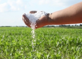 La suba de los fertilizantes le costó USD 180 millones extra al agro argentino