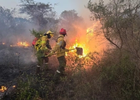 El campo pidió reabrir el debate por la Ley de Manejo del Fuego tras el retiro del proyecto de propiedad privada