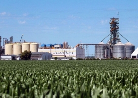 Biocombustibles: la nueva ley que puede cambiar el destino de la soja y el maíz