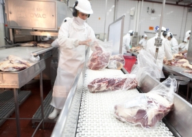 Exportaciones de carne bovina crecieron 10% en el semestre