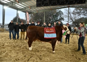 Histórica jura Braford en la Expo Rural de San Justo: grandes campeones y proyección nacional