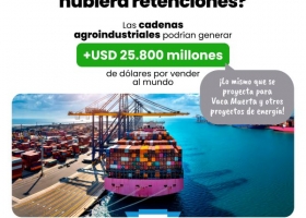 El agro genera el 57% de las exportaciones argentinas: girasol y yerba sorprenden