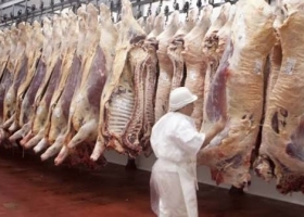 Carne vacuna: cae la faena y el consumo, pero crecen las exportaciones