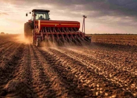 Siembra de trigo: el avance llegó al 99,8% y persisten excesos de humedad