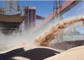 Exportadores de granos a China: abrió la inscripción