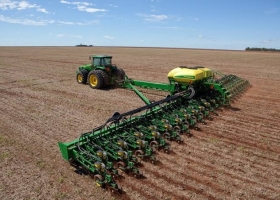 Girasol: la siembra ya cubre el 16,7% del área proyectada