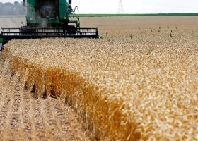 El agro proyecta 155,8 Mt y un récord de US$ 42.200 millones