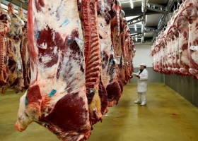 Mercosur-UE: el Foro Mercosur de la Carne reclama transparencia en la distribución de la cuota