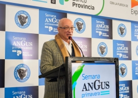 Carne Angus Argentina: genética y negocios en Cañuelas