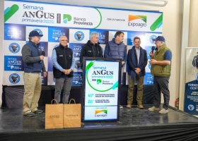 Angus de Primavera: Monasterio Tattersall vendió 4.500 cabezas en tiempo récord