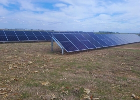 Riego solar: una alternativa para campos sin electricidad