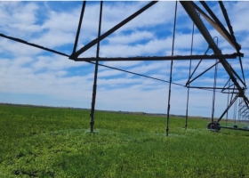 Riego eficiente: las claves del INTA para evitar roturas
