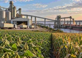 Argentina puede ganar terreno en las exportaciones agroindustriales hacia 2035