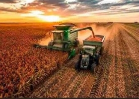Sorgo: Argentina podría exportar 1,7 millones de toneladas en 2026/27