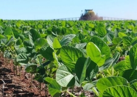 Comenzó la siembra de soja temprana en Santa Fe: prevén 1,1 millones de hectáreas