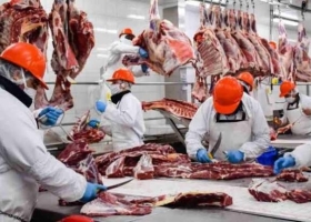 Exportaciones de carne vacuna: crecieron 7% interanual en 2026
