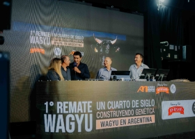 Wagyu en ArgenCarne 2026: la raza que busca agregar valor a la carne