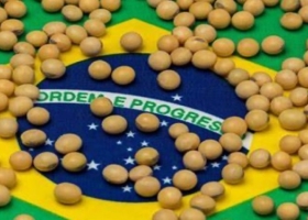 Súper Niño: Brasil podría perder 17,6 millones de toneladas de soja