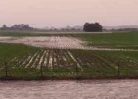 Lluvias en noviembre: prevén más de 100 mm en zonas del NOA y el Litoral