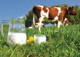 La calidad de la leche argentina alcanzó su máximo nivel en 12 años