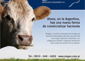 DIVERSIFICADA OFERTA DE CABEZAS EN EL PRÓXIMO REMATE DE ROSGAN
