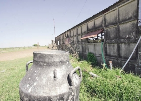 CARTA ABIERTA DE PRODUCTORES LECHEROS A LOS FUNCIONARIOS