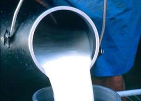 SANTA FE: EL PRECIO PROMEDIO DE LA LECHE EN JUNIO FUE DE 0,37 U$S/LITRO