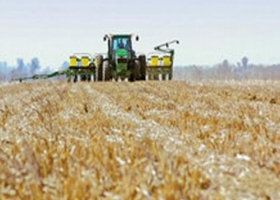 A PESAR DE LA CRISIS, LOS PRODUCTORES MANTIENEN SUS PLANES DE SIEMBRA