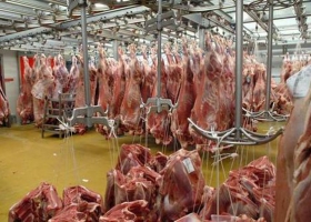 CARNE: SE EXPORTA LA MITAD QUE EN 2009, AÑO DE LA RECESIÓN GLOBAL