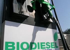 ESTIMAN QUE A FIN DE AÑO HABRÁ AVANCES SIGNIFICATIVOS CON LAS PRUEBAS ORIENTADAS A MEZCLAR BIODIESEL AL 10%