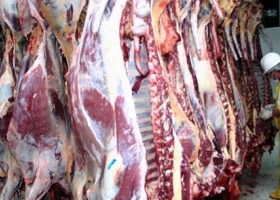 NUEVE MESES DE CAÍDA EN LA EXPORTACIÓN DE CARNES
