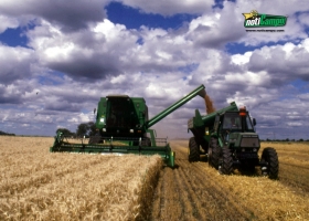 "MEJORAN LAS PERSPECTIVAS PARA EL TRIGO: LA PRODUCCIÓN APUNTA A 12,8 MILLONES DE TONELADAS" 