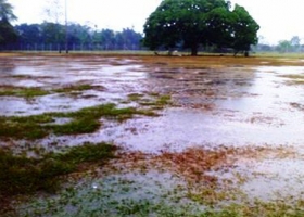 LAS LLUVIAS ALIVIARÁN LA SEQUÍA POR EL FENÓMENO LA NIÑA ESTA SEMANA 