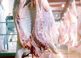 FRIGORÍFICOS RECLAMAN AUTORIZACIÓN PARA VENDER CARNE PREMIUN A EUROPA