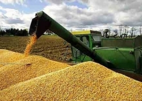 TIEMPO DE SUSPENSO PARA EL PRECIO DE LA SOJA