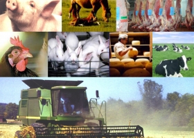 CRA PRESENTA "DE LA TIERRA A LA MESA"