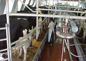 MOVILIZACIÓN NACIONAL LECHERA EL 28 DE MARZO DE 2012 EN RAFAELA: