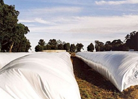 SERÁ FUNDAMENTAL LA PUESTA A PUNTO DEL SISTEMA DE MANEJO DE GRANO HÚMEDO
