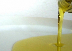 LAS PYMES DEL BIODIESEL EN PROBLEMAS