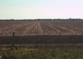 EL GOBIERNO DESMINTIÓ QUE HAYA UN PLAN PARA AVANZAR SOBRE LA PROPIEDAD PRIVADA DE LA TIERRA