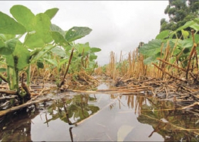 Tras la tormenta, el clima bate récords de perjuicios al campo